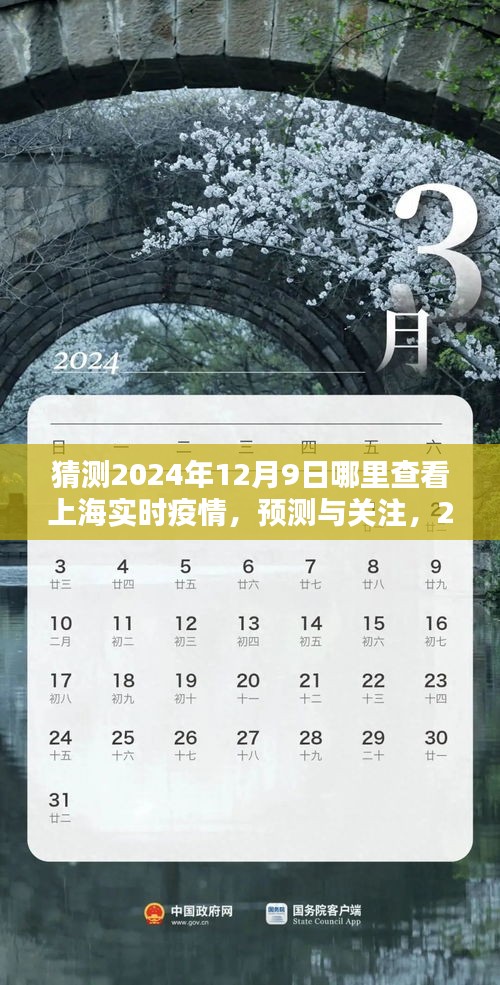 2024年12月9日上海实时疫情查询指南，预测与关注