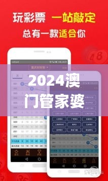 2024澳门管家婆一肖,高速响应计划实施_KP1.162