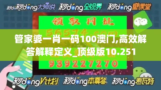 管家婆一肖一码100澳门,高效解答解释定义_顶级版10.251