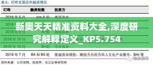 新奥天天精准资料大全,深度研究解释定义_KP5.754