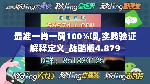 最准一肖一码100%噢,实践验证解释定义_战略版4.879