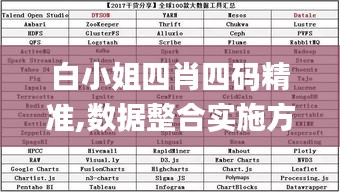 白小姐四肖四码精准,数据整合实施方案_钻石版14.463