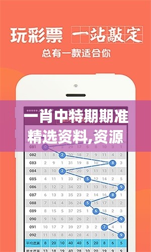 一肖中特期期准精选资料,资源策略实施_3D4.169