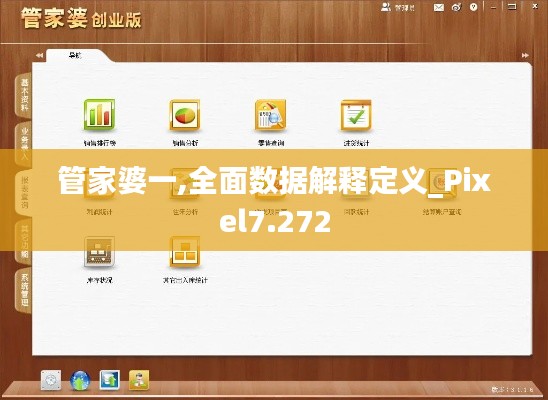 管家婆一,全面数据解释定义_Pixel7.272