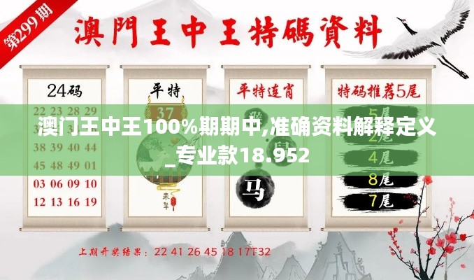 澳门王中王100%期期中,准确资料解释定义_专业款18.952