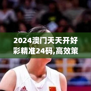 2024澳门天天开好彩精准24码,高效策略实施_运动版3.392