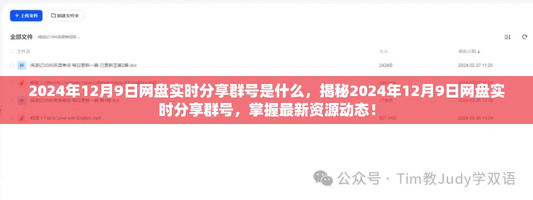 揭秘，2024年网盘实时分享群号及最新资源动态掌握！