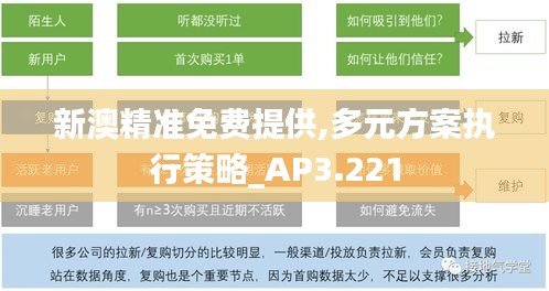 新澳精准免费提供,多元方案执行策略_AP3.221