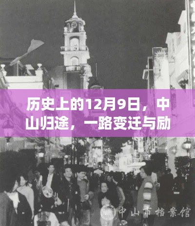 2024年12月10日 第31页