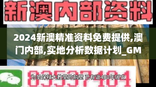 2024新澳精准资料免费提供,澳门内部,实地分析数据计划_GM版9.851