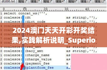 2024澳门天天开彩开奖结果,实践解析说明_Superior1.566