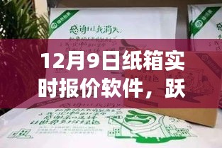 纸箱实时报价软件的云端飞跃，励志成长与背后故事