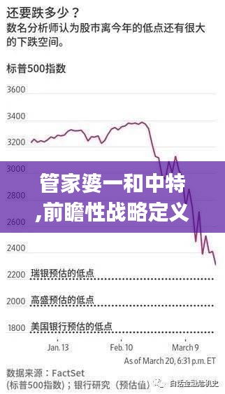 管家婆一和中特,前瞻性战略定义探讨_苹果10.900