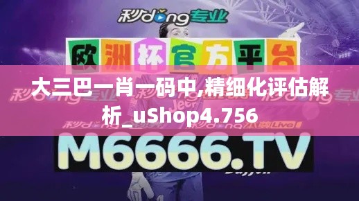 大三巴一肖一码中,精细化评估解析_uShop4.756