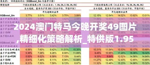 2024澳门特马今晚开奖49图片,精细化策略解析_特供版1.955