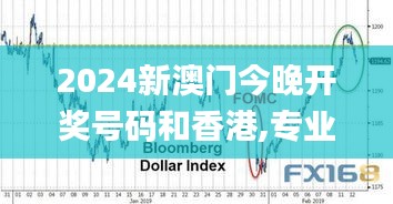 2024新澳门今晚开奖号码和香港,专业数据解释定义_1440p5.416