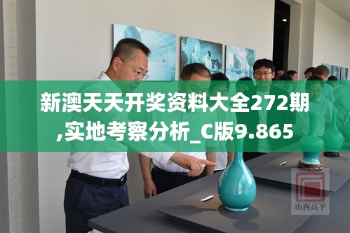 新澳天天开奖资料大全272期,实地考察分析_C版9.865