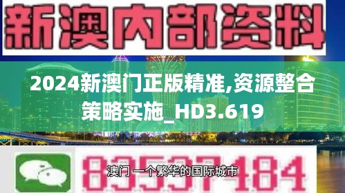 2024新澳门正版精准,资源整合策略实施_HD3.619