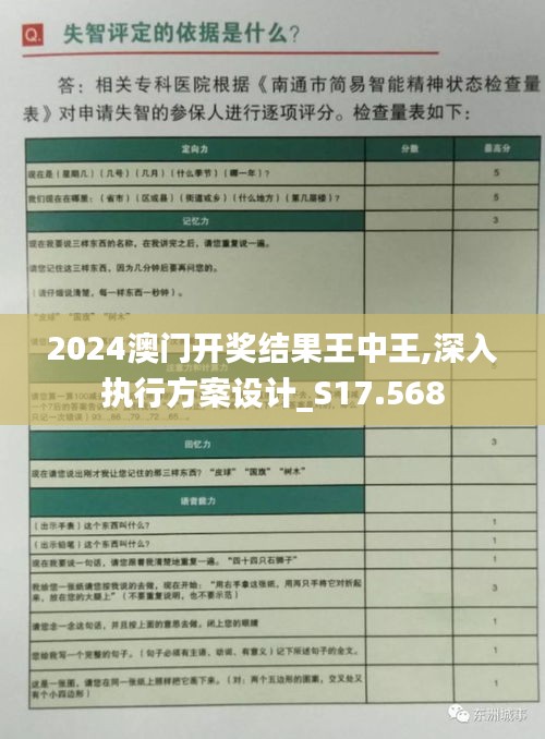 2024澳门开奖结果王中王,深入执行方案设计_S17.568