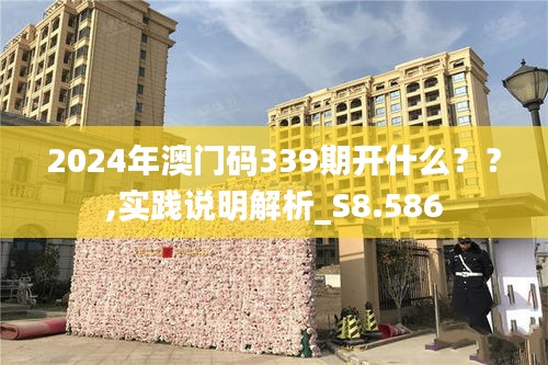 2024年澳门码339期开什么？？,实践说明解析_S8.586