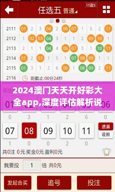 2024澳门天天开好彩大全app,深度评估解析说明_定制版1.232