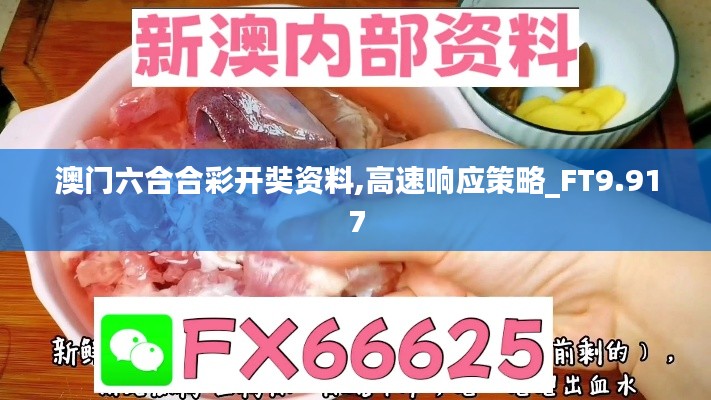 澳门六合合彩开奘资料,高速响应策略_FT9.917