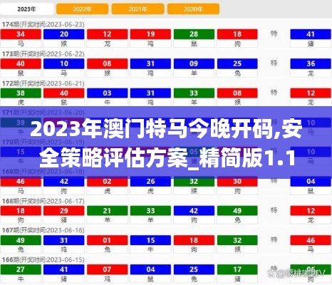 2023年澳门特马今晚开码,安全策略评估方案_精简版1.119