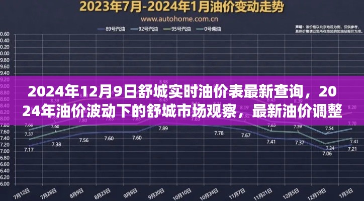 2024年油价波动下的舒城市场观察，实时油价调整分析与市场影响探讨