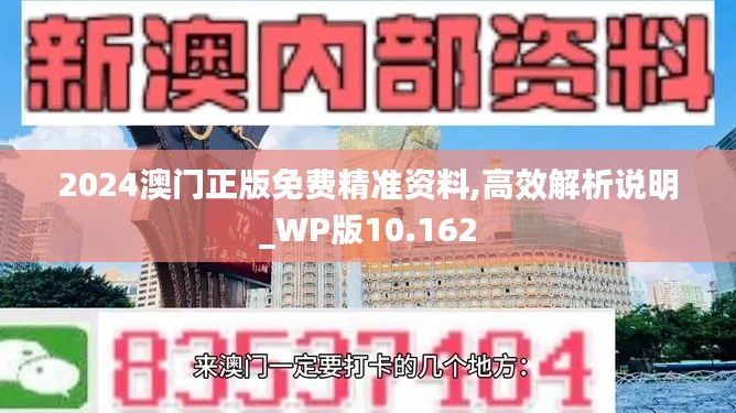 2024澳门正版免费精准资料,高效解析说明_WP版10.162