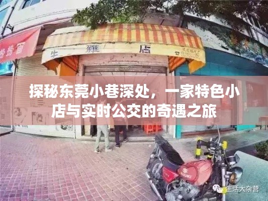 探秘东莞小巷特色小店，实时公交奇遇之旅