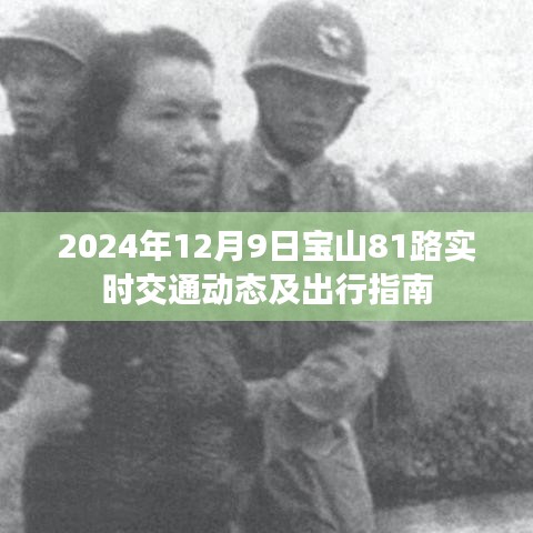 2024年12月9日宝山81路交通动态与出行指南