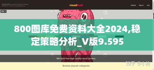 800图库免费资料大全2024,稳定策略分析_V版9.595