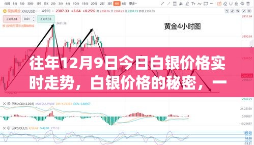 与自然美景相遇的心灵之旅，揭秘白银价格走势的秘密