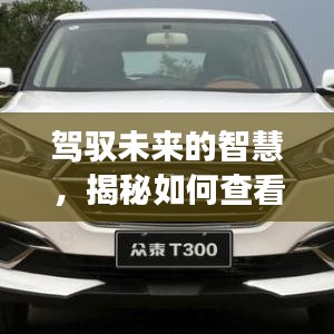 驾驭未来智慧，揭秘T300实时油耗查看方法，开启学习与成长之旅（2024年12月9日）