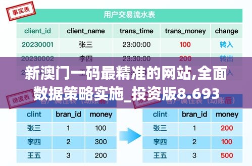 新澳门一码最精准的网站,全面数据策略实施_投资版8.693