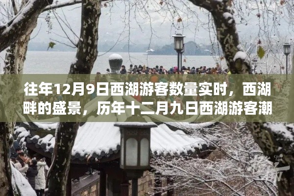 历年12月9日西湖游客盛景纪实，湖畔潮涌的壮丽画卷