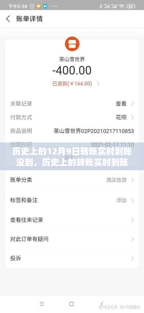 历史上的转账实时到账问题解析与解决指南，以12月9日转账为例，全面解析未达原因及应对步骤。
