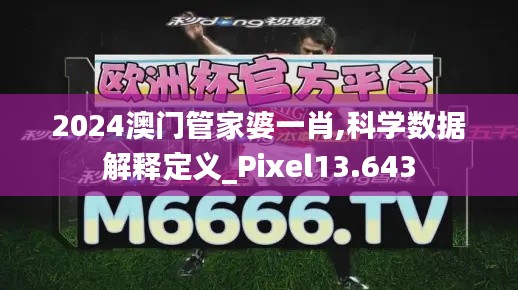 2024澳门管家婆一肖,科学数据解释定义_Pixel13.643