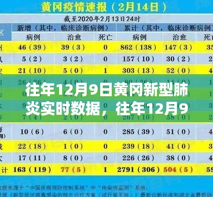 往年12月9日黄冈新型肺炎实时数据与数据分析报告概述