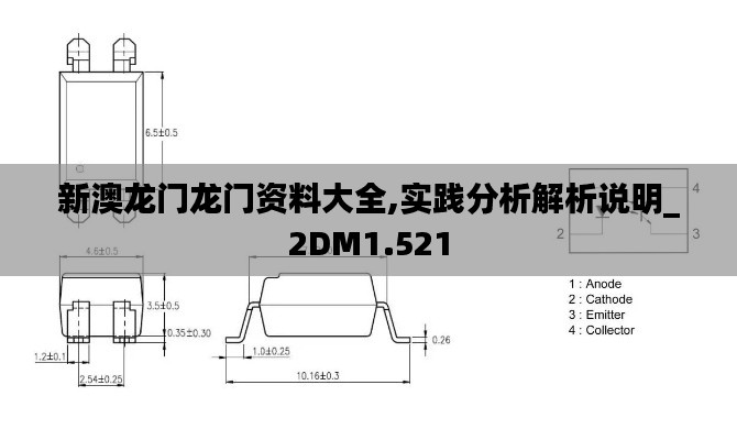 新澳龙门龙门资料大全,实践分析解析说明_2DM1.521