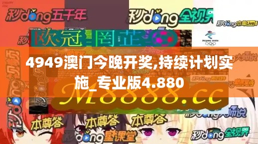 4949澳门今晚开奖,持续计划实施_专业版4.880