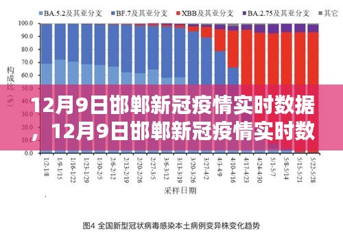 12月9日邯郸新冠疫情实时数据深度评测与介绍