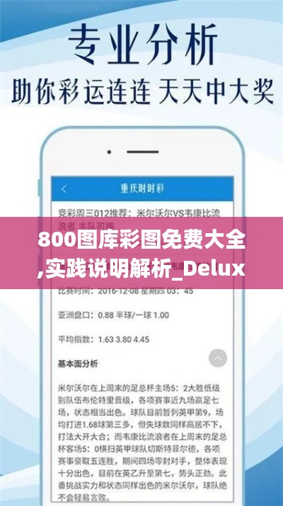 800图库彩图免费大全,实践说明解析_Deluxe9.528