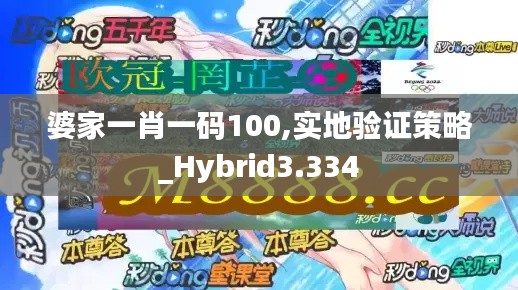 婆家一肖一码100,实地验证策略_Hybrid3.334