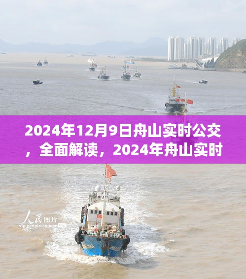 2024年舟山实时公交系统深度评测与全面解读