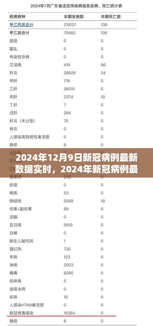 2024年新冠病例最新数据实时解析，获取指南与数据分析步骤