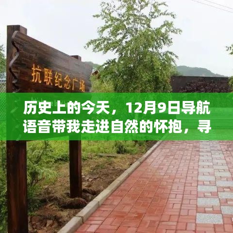 12月9日，自然怀抱中的心灵之旅，导航语音引领内心宁静之旅