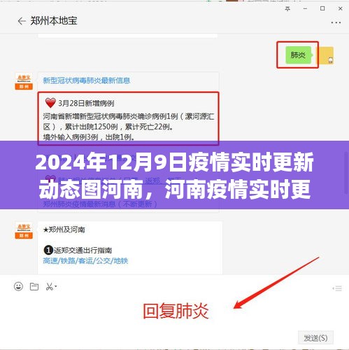 河南疫情实时更新动态图，聚焦2024年12月9日的新进展与动态分析