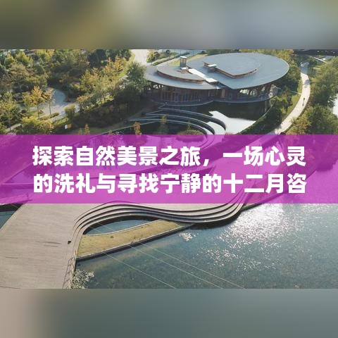 十二月自然探索之旅，心灵洗礼与宁静追寻的寻美咨询之旅