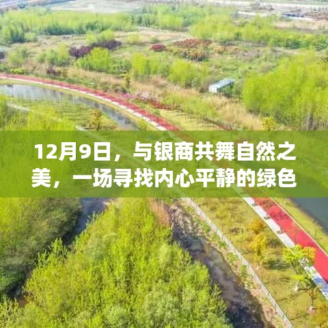 12月9日绿色之旅，与银商共舞自然之美，探寻内心平静之道